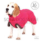 Zoran Natty - Sofadogwear