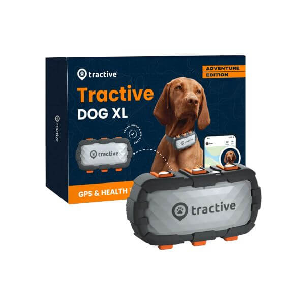 Traceur GPS Dog XL Adventure - Tractive