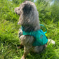 Schwimmweste "Protector Life Jacket" - Nonstop Dogwear