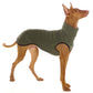 Hachico K-Jumper - Sofadogwear | S3/M1