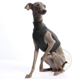 Cotton Shirt / Top - DG Doggear