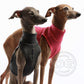 Cotton Shirt / Top - DG Doggear