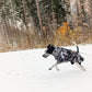 Manteau d'hiver Bishaarah avec membrane - Sofadogwear