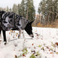 Manteau d'hiver Bishaarah avec membrane - Sofadogwear