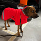 Manteau d'hiver Bishaarah avec membrane - Sofadogwear