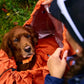 Protector Bivvy Bag (3-in-1 dog sleeping bag) - Nonstop Dogwear