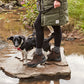 Waterproof shoe "Boje" - Doggo 