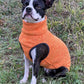Hachico Jumper 02 - Sofadogwear | L2