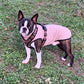 Hachico Jumper 02 - Sofadogwear | L1