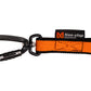 bungee leash nonstop 2