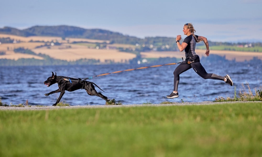 canix tech sport