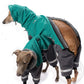 Ninja Fluffy (Softshell Overall) - DG Doggear 