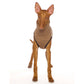 Hachico K-Jumper - Sofadogwear | S3/M1