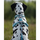 Line harness CLIP'N™ - Nonstop Dogwear