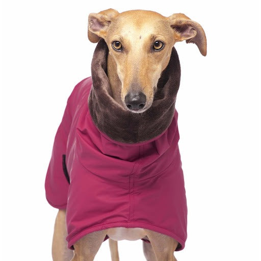 coolrain magenta 2