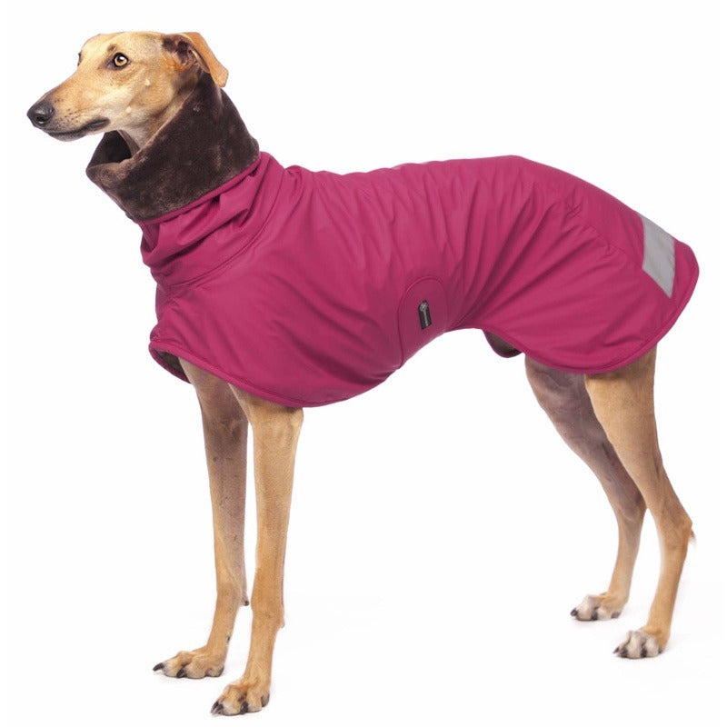 coolrain magenta