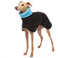 Michael Coolrain 03/04 - Sofadogwear