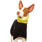 Michael Coolrain 03/04 - Sofadogwear