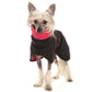 Michael Coolrain 03/04 - Sofadogwear