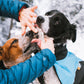Pommade / crème pour pattes - Non-Stop Dogwear