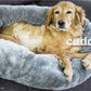 cuddle up 4