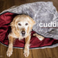cuddle up 5