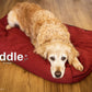 cuddle up 6