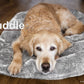 cuddle up 8