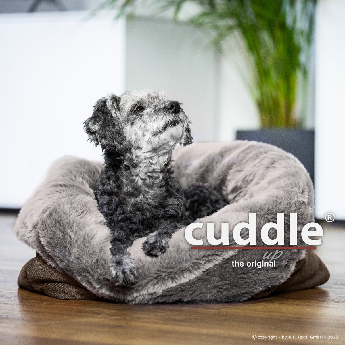 cuddle up taupe 4