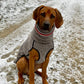 Kevin Jumper Vol. 2 - Sofadogwear | L2