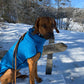 Kevin Jumper Vol. 2 - Sofadogwear | L1