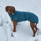 Kevin Jumper Vol.2 - Sofadogwear | XS2