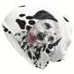 Beanie with various motifs (greyhounds, paws, wolf, etc.)