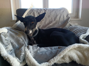 Waterproof dog blanket with soft cuddly back