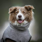 Peignoir / Peignoir pour chien Deek Dog