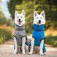 Peignoir / Peignoir pour chien Deek Dog