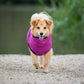 Peignoir / Peignoir pour chien Deek Dog