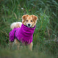 Peignoir / Peignoir pour chien Deek Dog