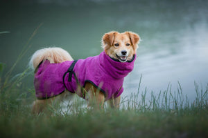Bathrobe / Dog Bathrobe Deek Dog 