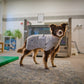 Drying Coat / Bademantel 2-Lage-System - Nonstop Dogwear