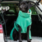 dryup mint 6