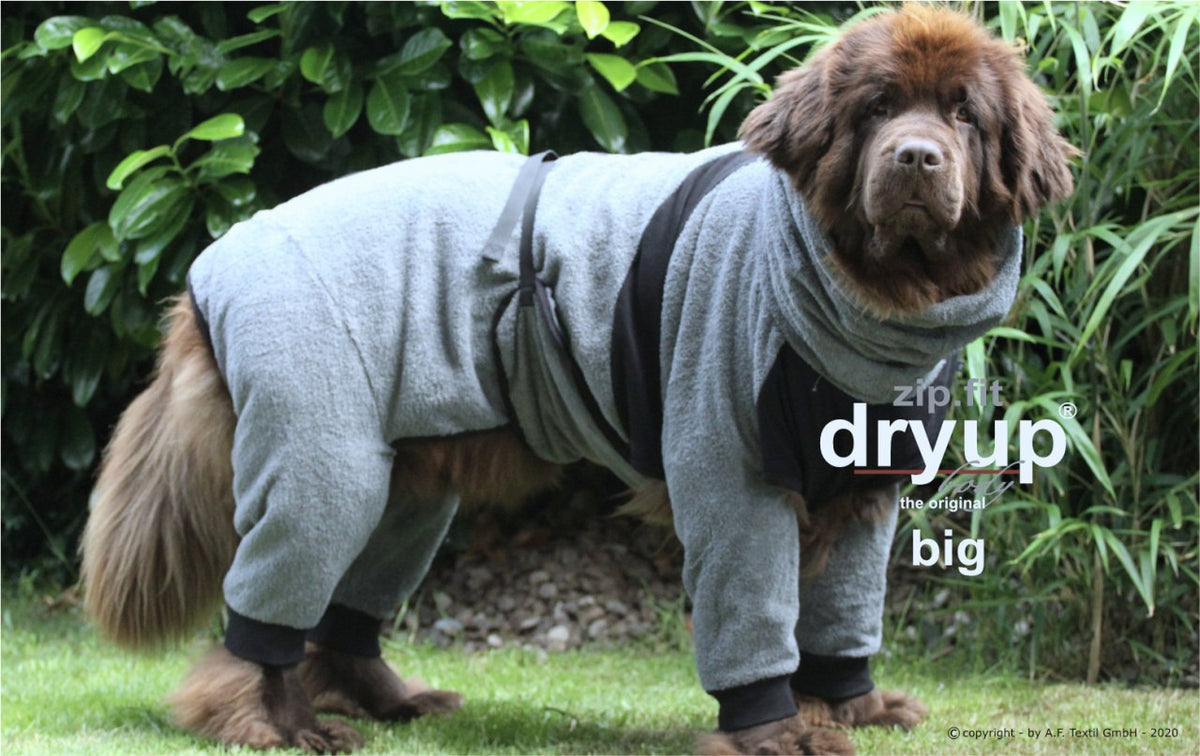 dryup zip grau maxi 1
