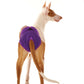 Heat panties "Eve" - ​​Sofadogwear