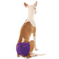 Heat panties "Eve" - ​​Sofadogwear
