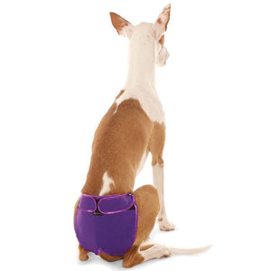 Heat panties "Eve" - ​​Sofadogwear