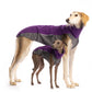 Outdoor Top Extreme (Jumper) - DG Doggear 