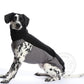 Outdoor Top Extreme (Jumper) - DG Doggear 