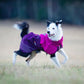 Fjord Raincoat - Nonstop Dogwear