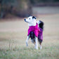 Fjord Raincoat - Nonstop Dogwear