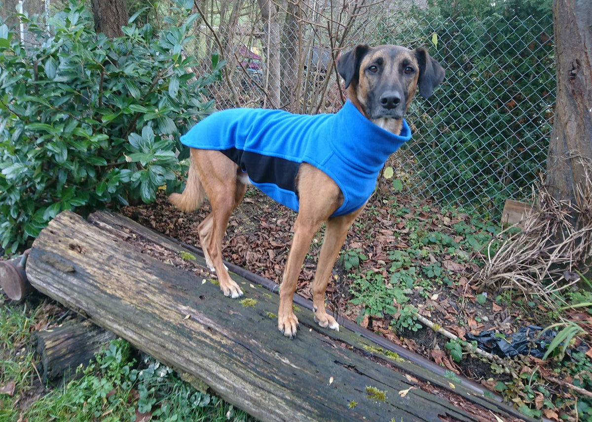 fleece blau